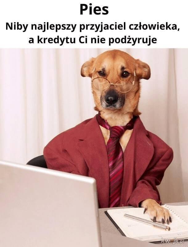 Rozmowa przyjacielska - pies mem sprzedaż przez telefon